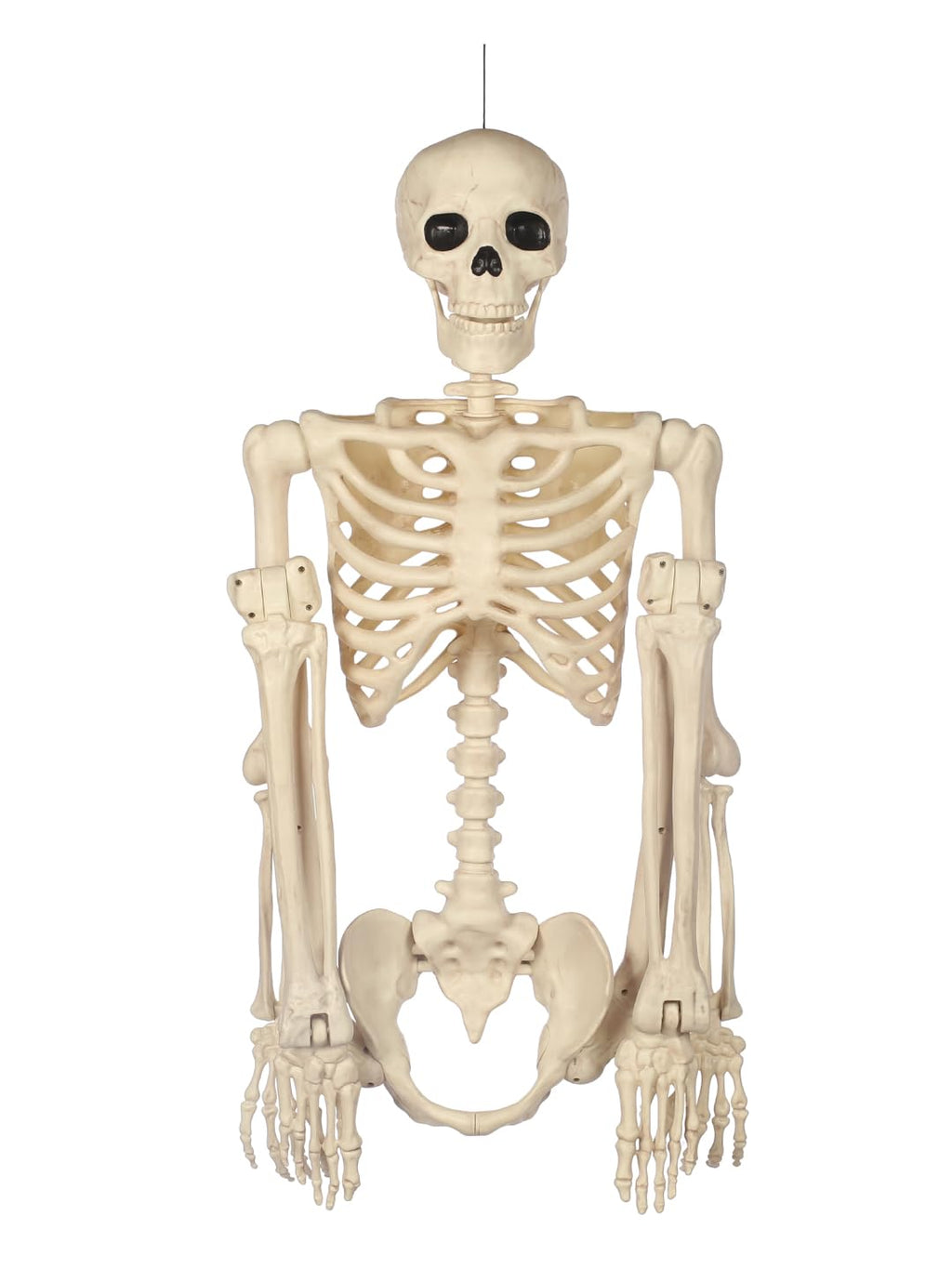 5FT Life Size Posable Skeleton V358