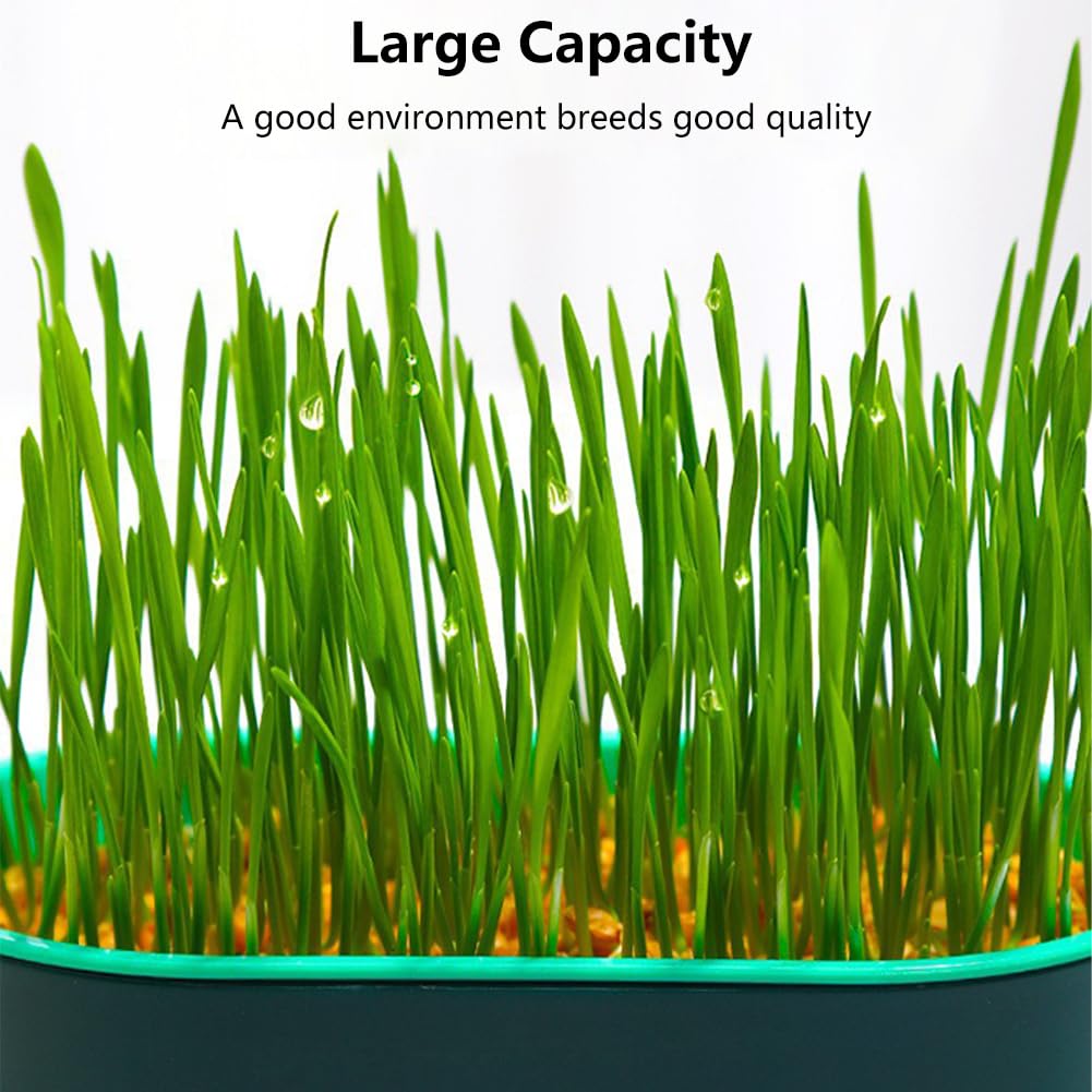 Cat Grass Growing Kit N6498