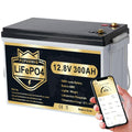 300Ah Lithium LiFePO4 Battery with Bluetooth G19819