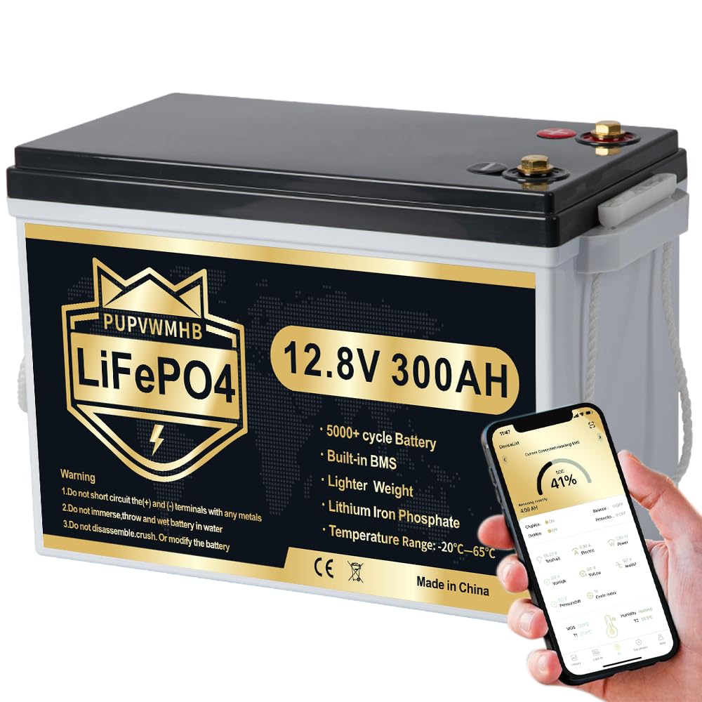 300Ah Lithium LiFePO4 Battery with Bluetooth G19819