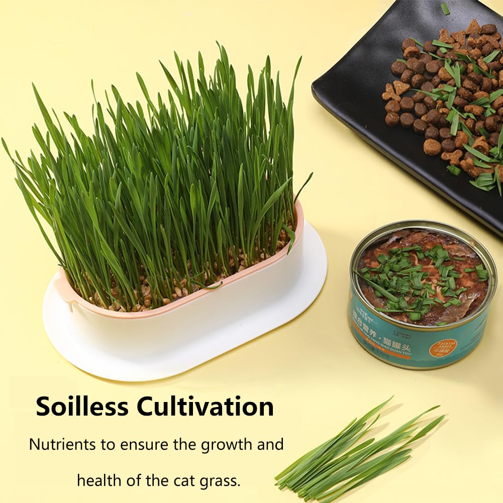 Cat Grass Growing Kit N6498