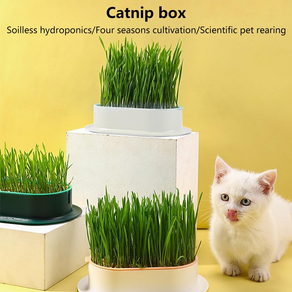 Cat Grass Growing Kit N6498