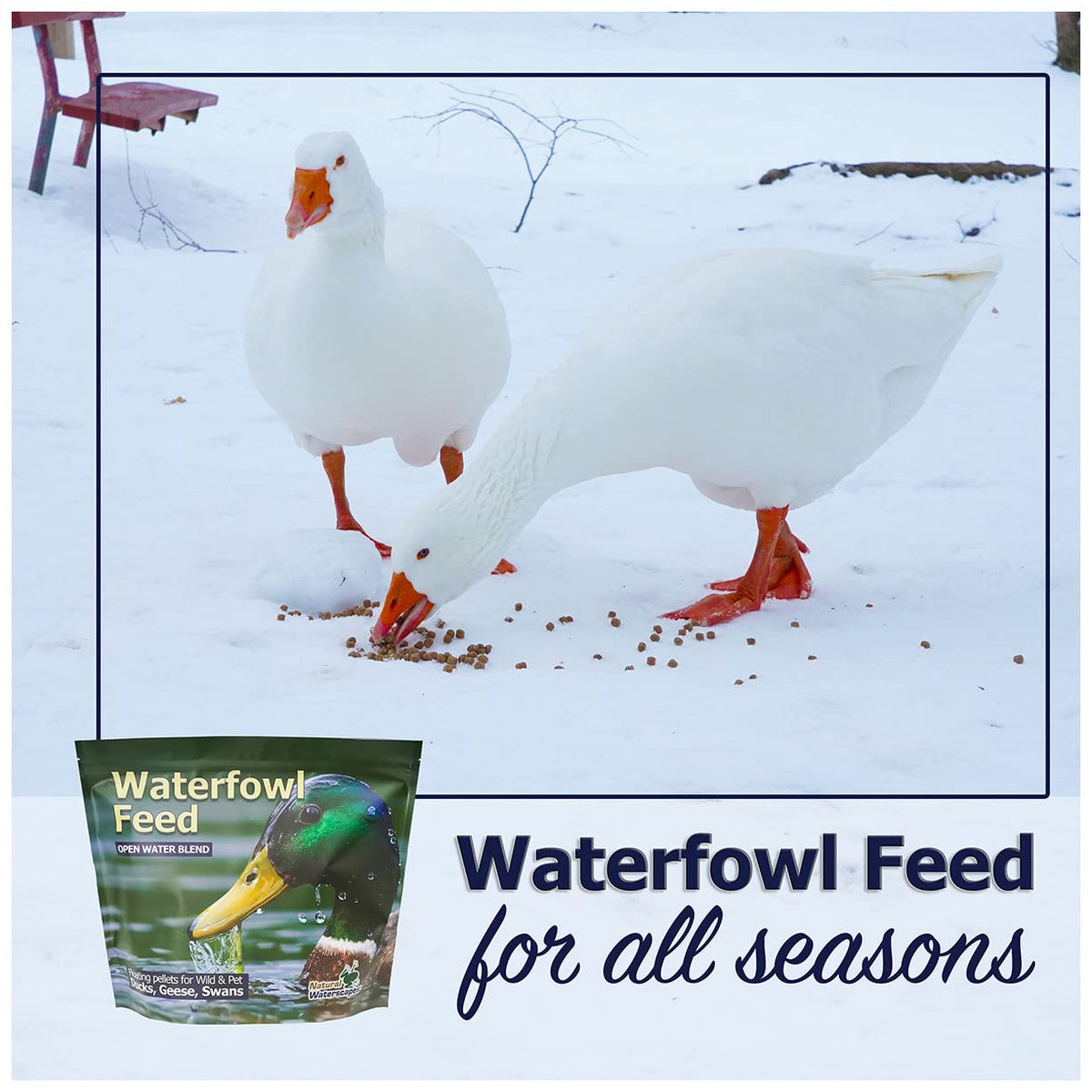 Waterfowl Feed 20 lb Bag Floating Pellets F280054