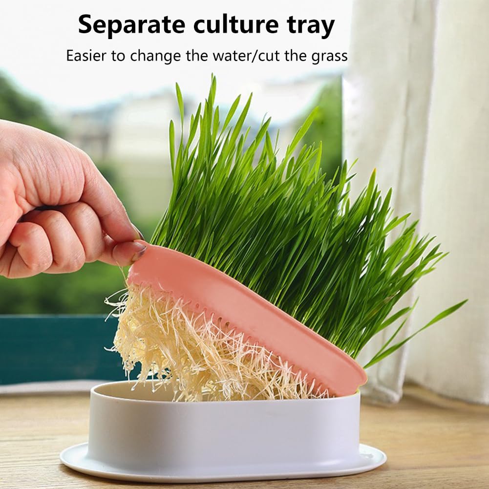Cat Grass Growing Kit N6498