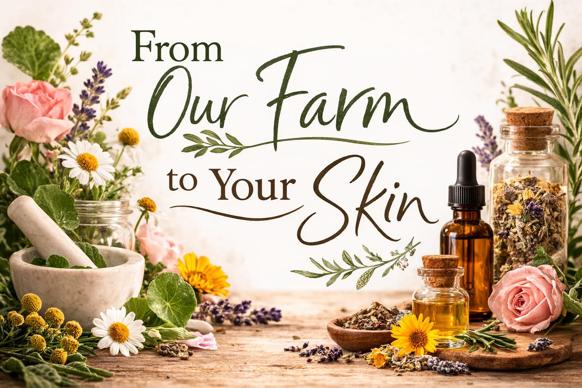 Firming Face Oil with Spilanthes & Gotu Kola, 1 oz W4961