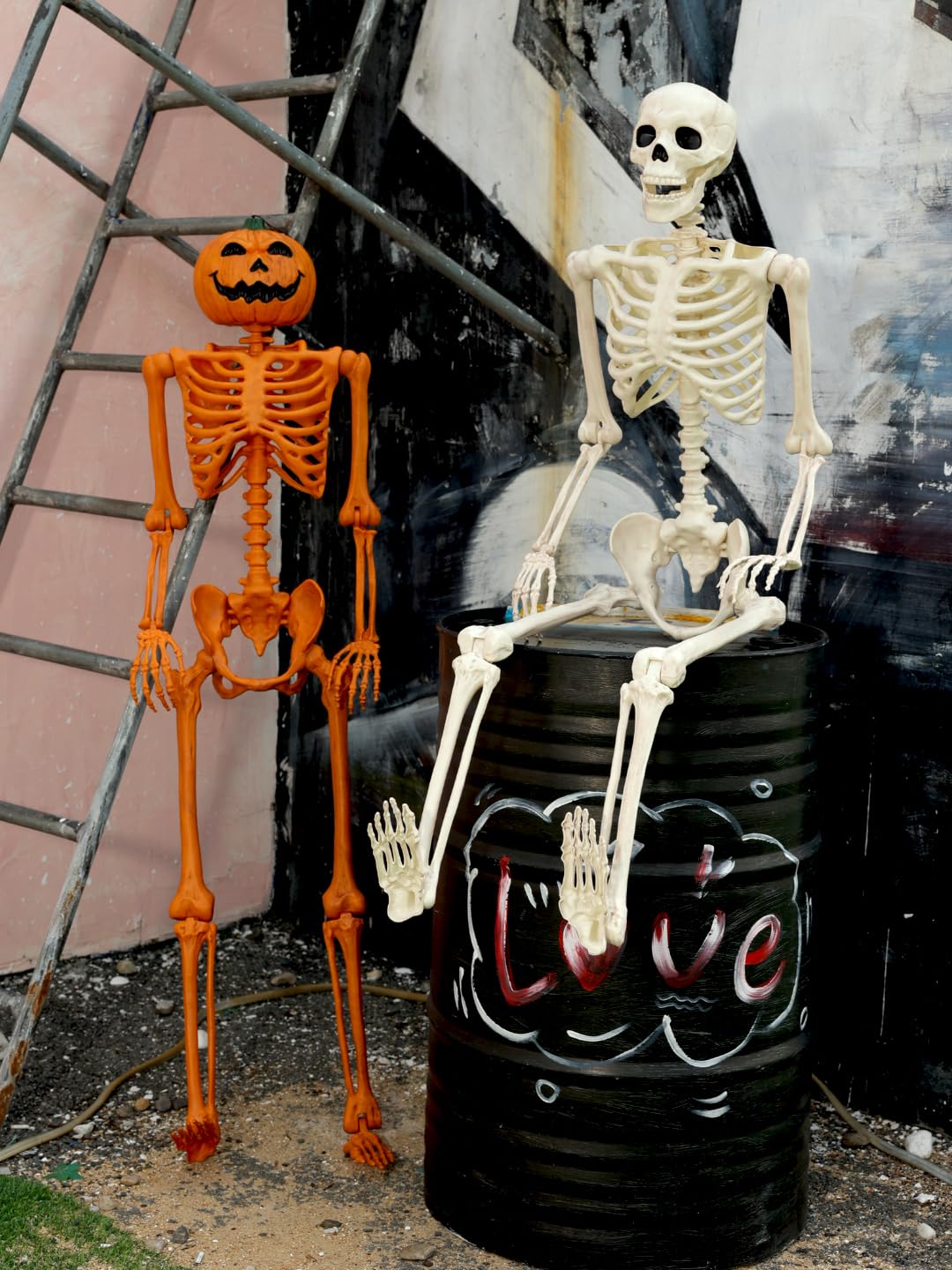 5FT Life Size Posable Skeleton V358