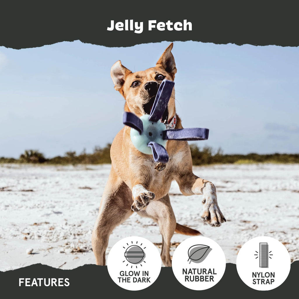 Dog Toy M901