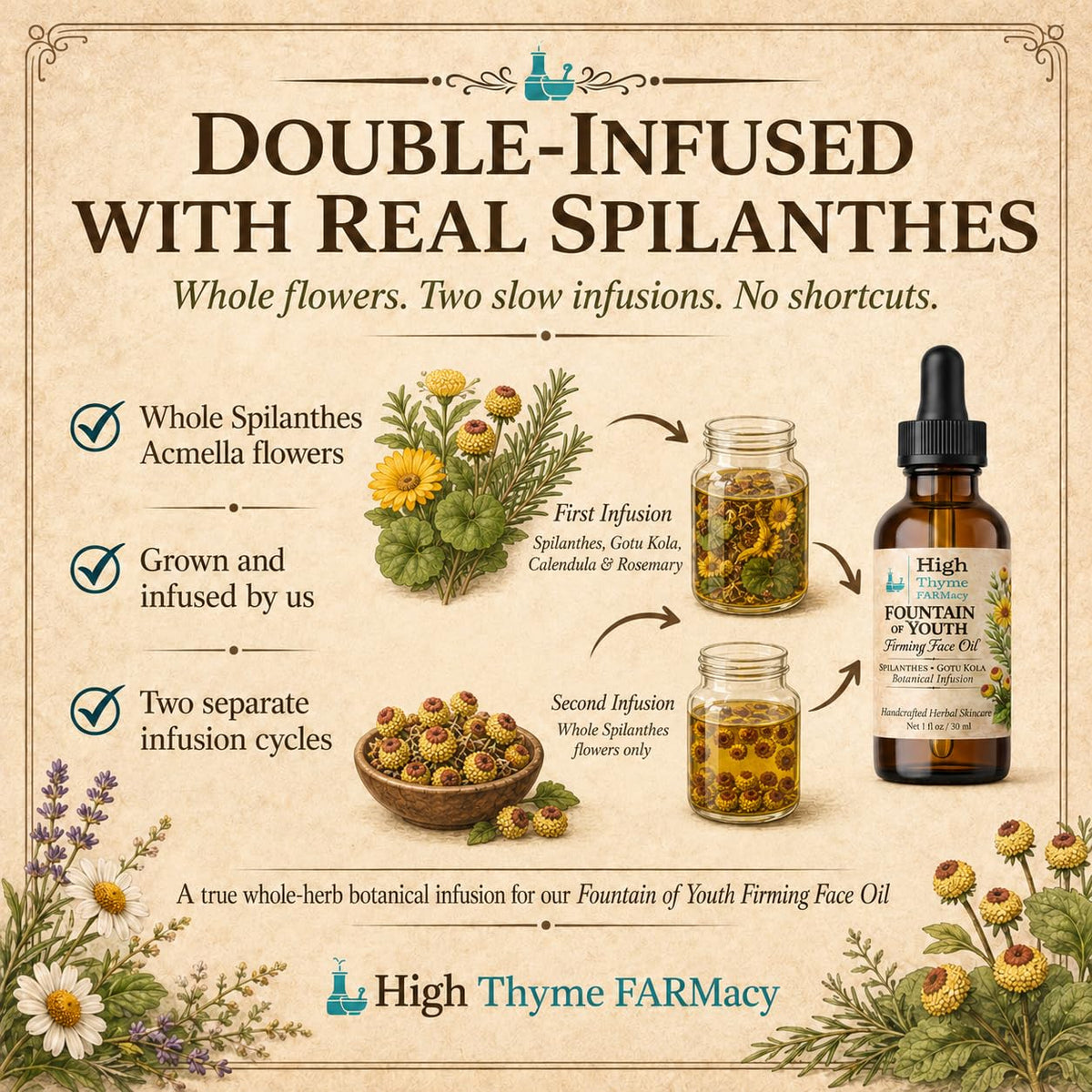 Firming Face Oil with Spilanthes & Gotu Kola, 1 oz W4961