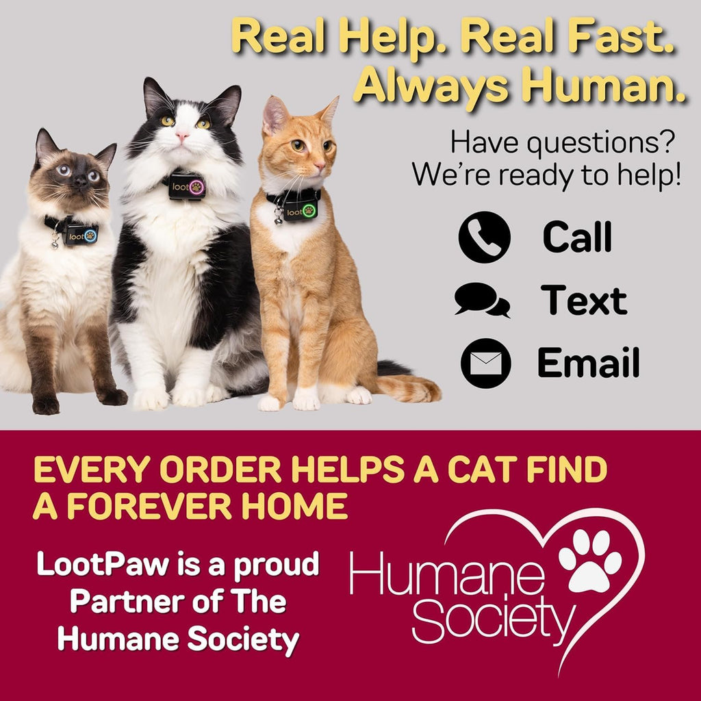 GPS Cat Tracker Collar L441813