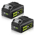 20V Max 5.0Ah Lithium Battery 2 Pack V559176