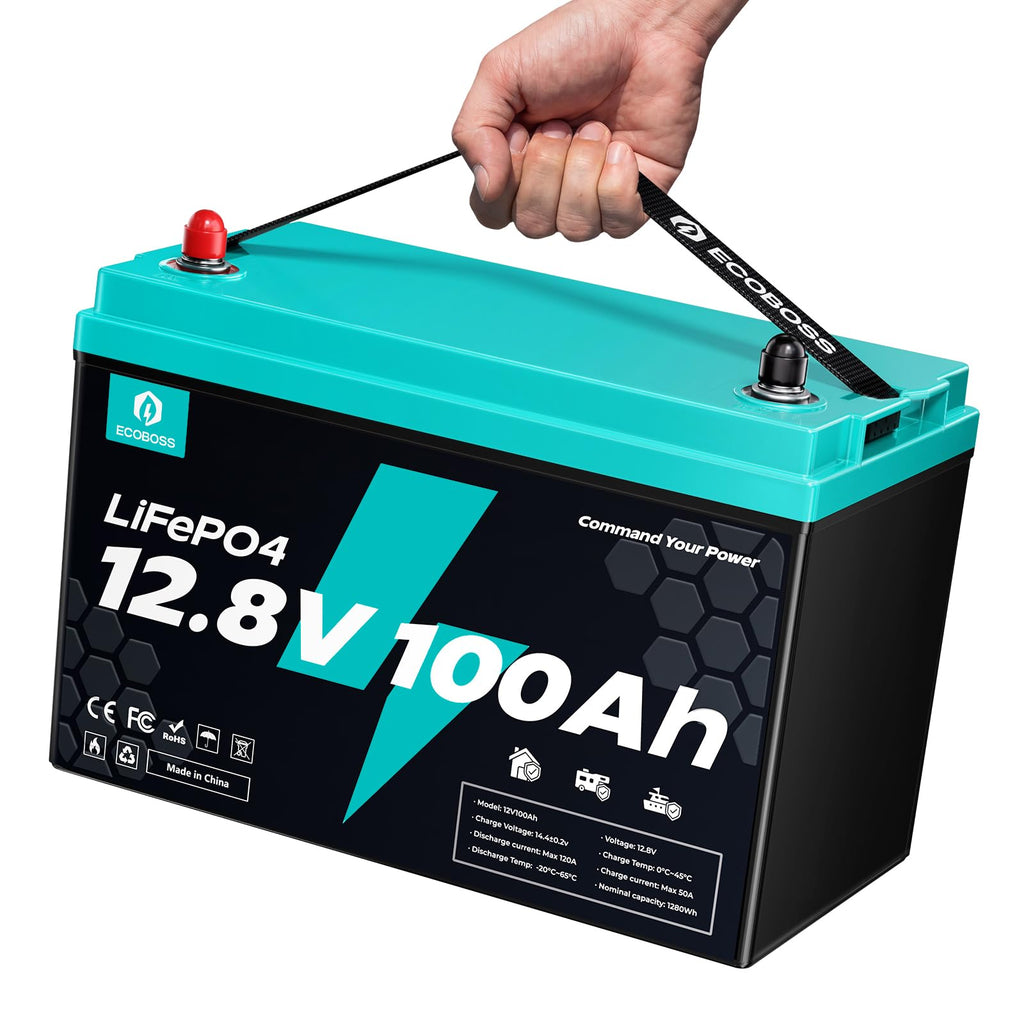 12V 100Ah LiFePO4 Battery Group 31 B247668