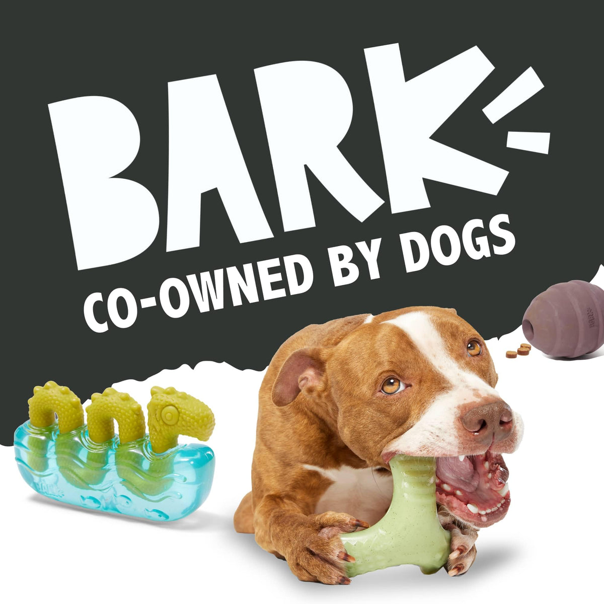 Dog Toy M901
