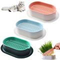 Cat Grass Growing Kit N6498