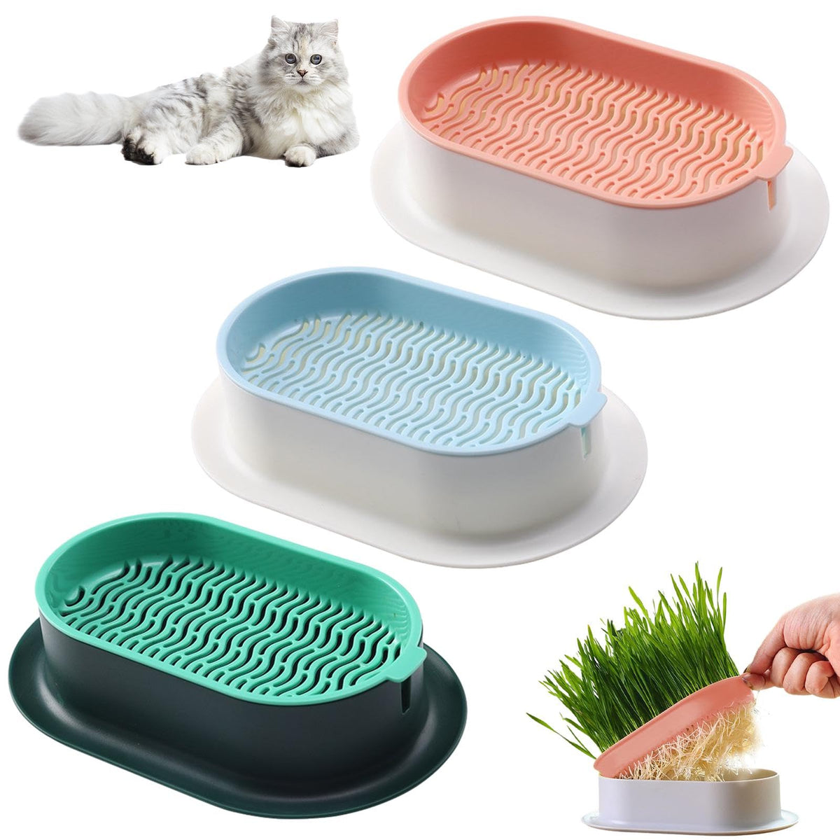 Cat Grass Growing Kit N6498