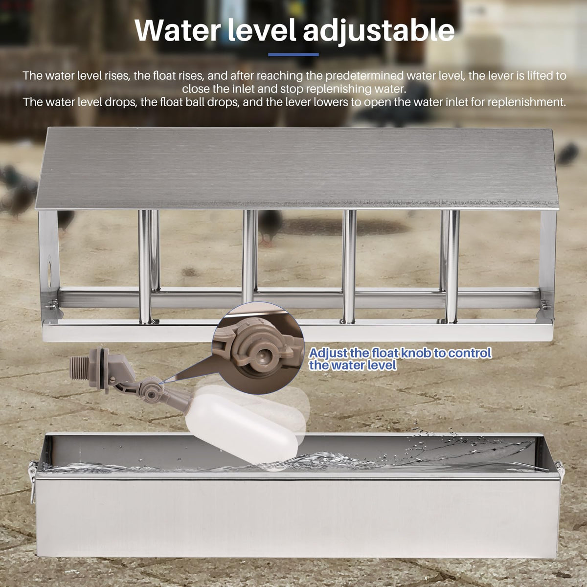 Stainless Steel Automatic Chicken Waterer with Float Valve G432245