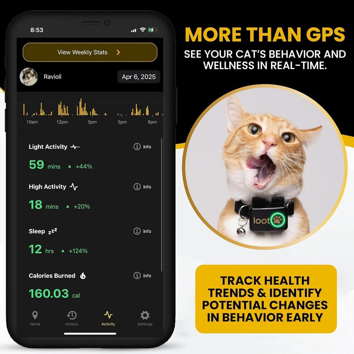 GPS Cat Tracker Collar L441813