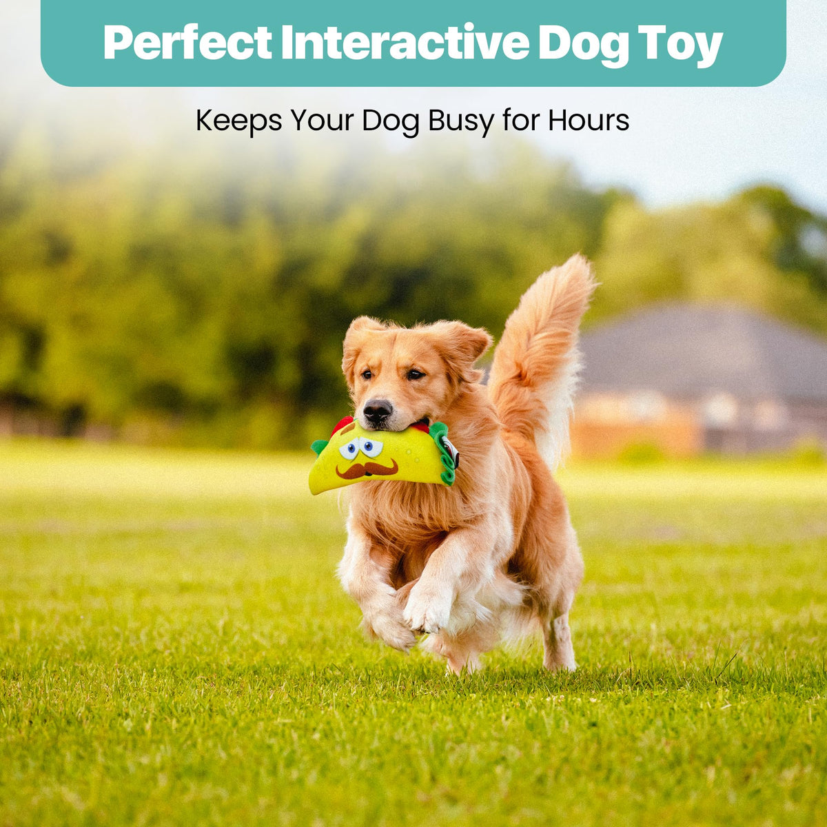 Plush Dog Toy with Squeaker D70954