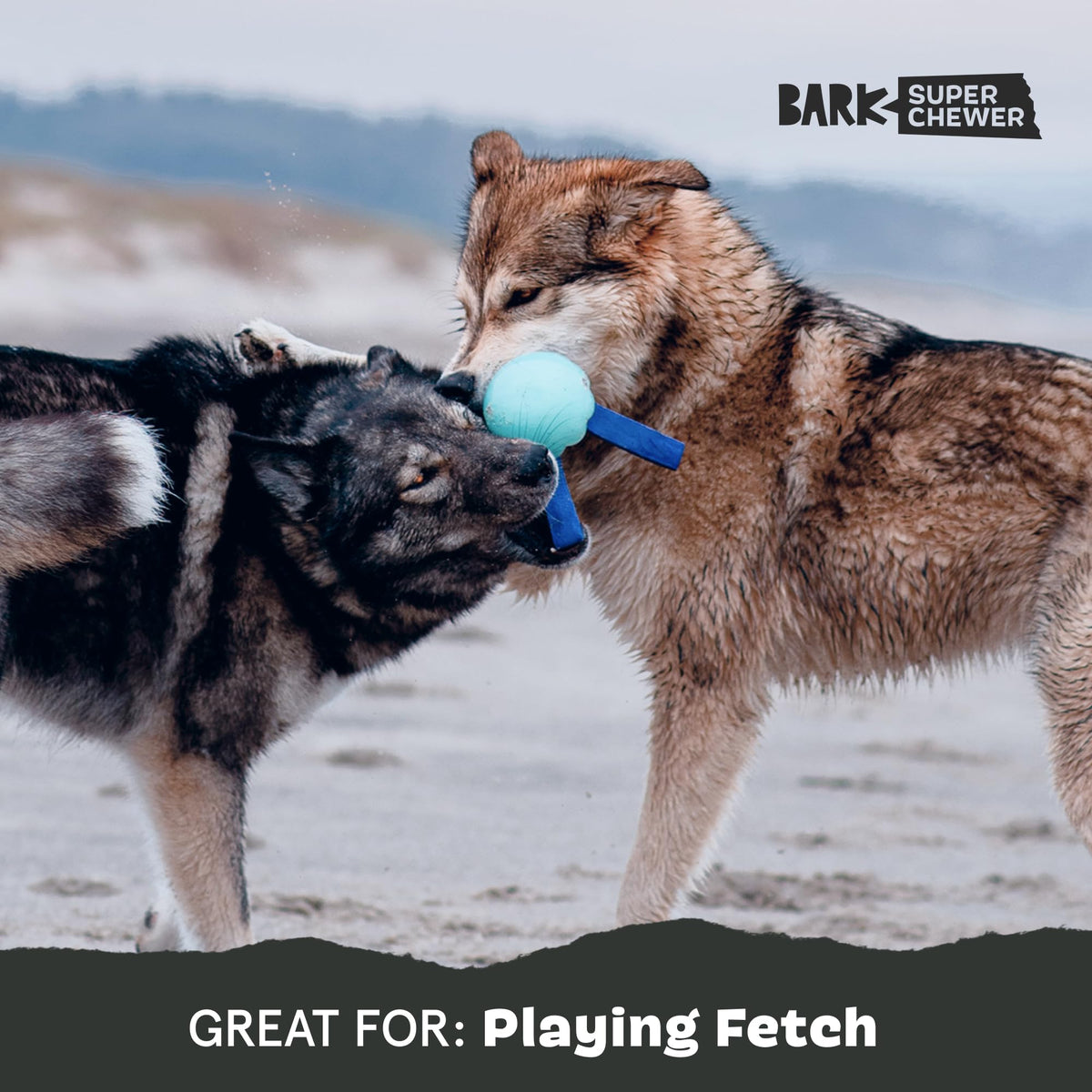 Dog Toy M901