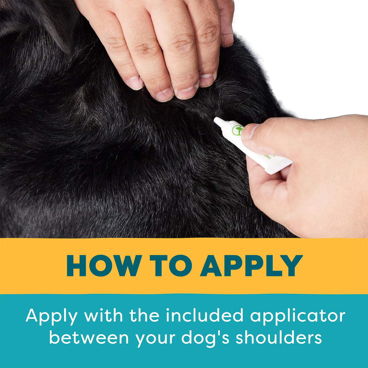 Flea and Tick Prevention for Large Breed Dogs E3032