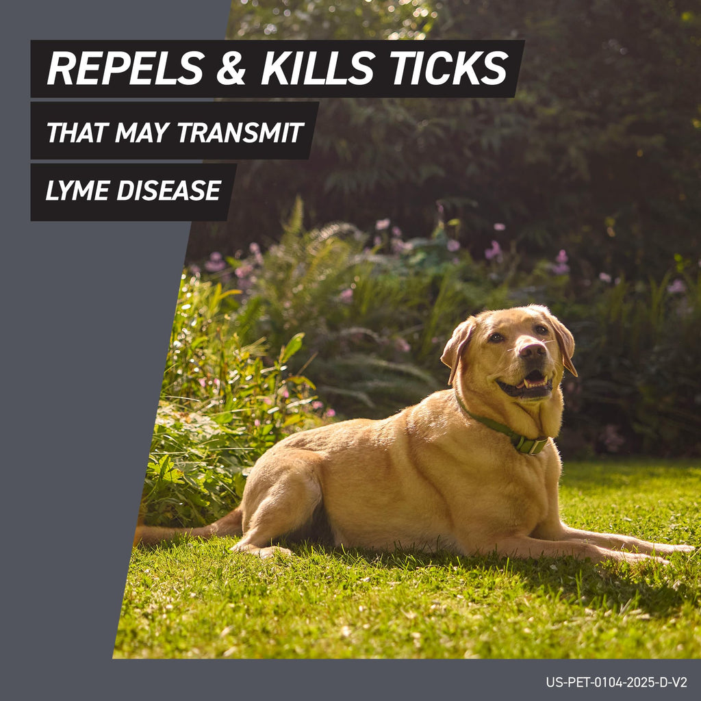 Flea & Tick Treatment for Large Dogs 41-80 lbs Count of 3 D60454