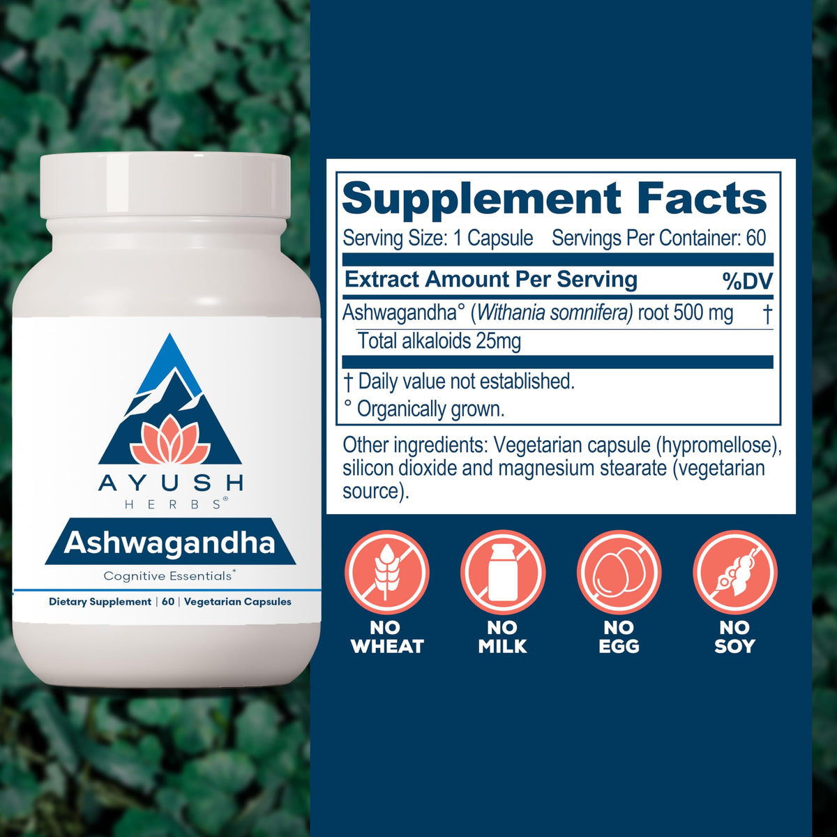 Ashwagandha Capsules 500mg 60 Servings S649