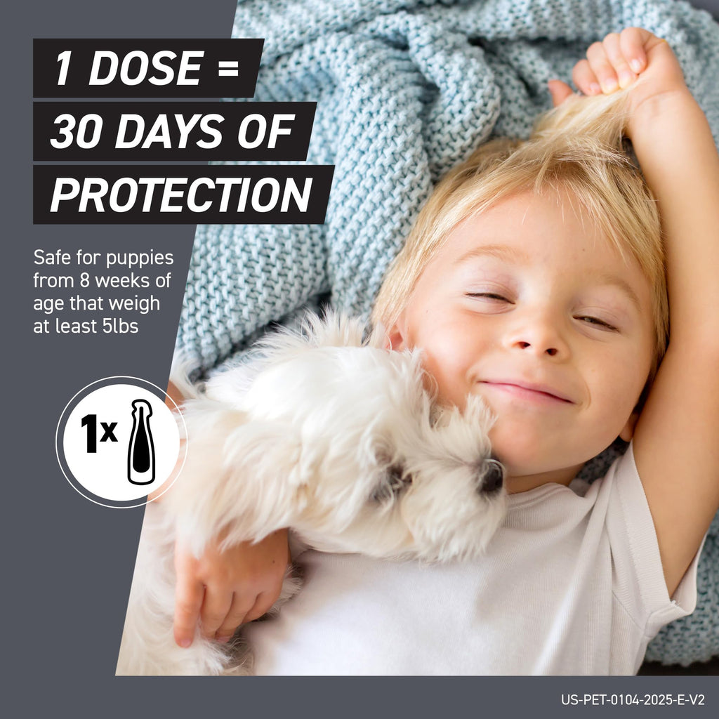 Flea & Tick Treatment for Large Dogs 41-80 lbs Count of 3 D60454