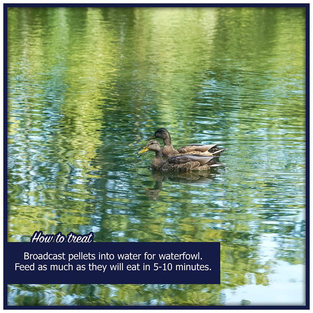 Waterfowl Feed 20 lb Bag Floating Pellets F280054