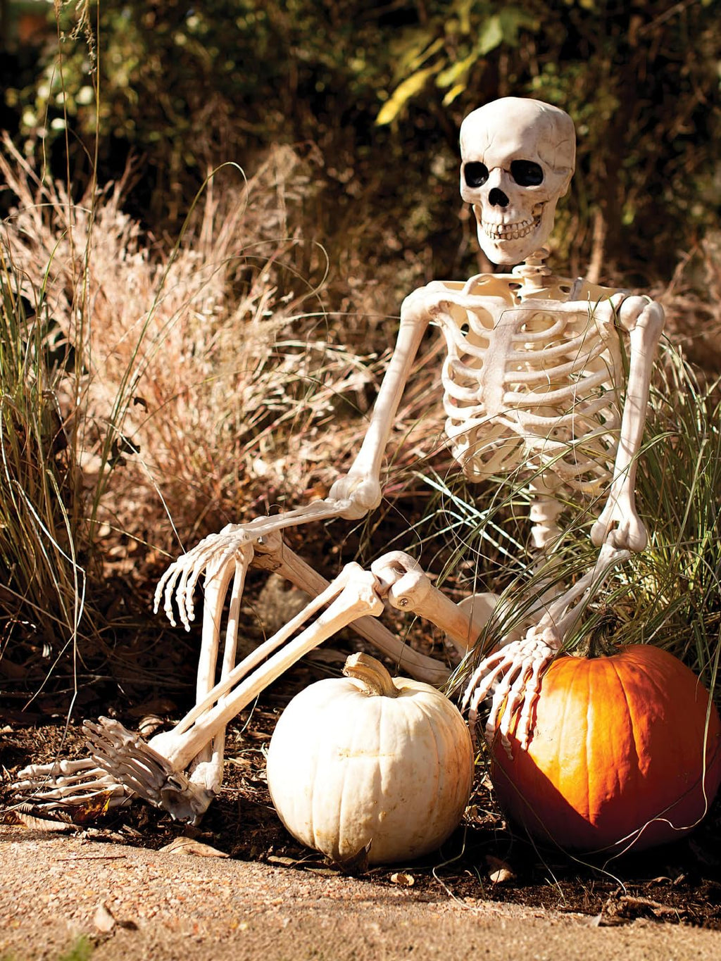 5FT Life Size Posable Skeleton V358