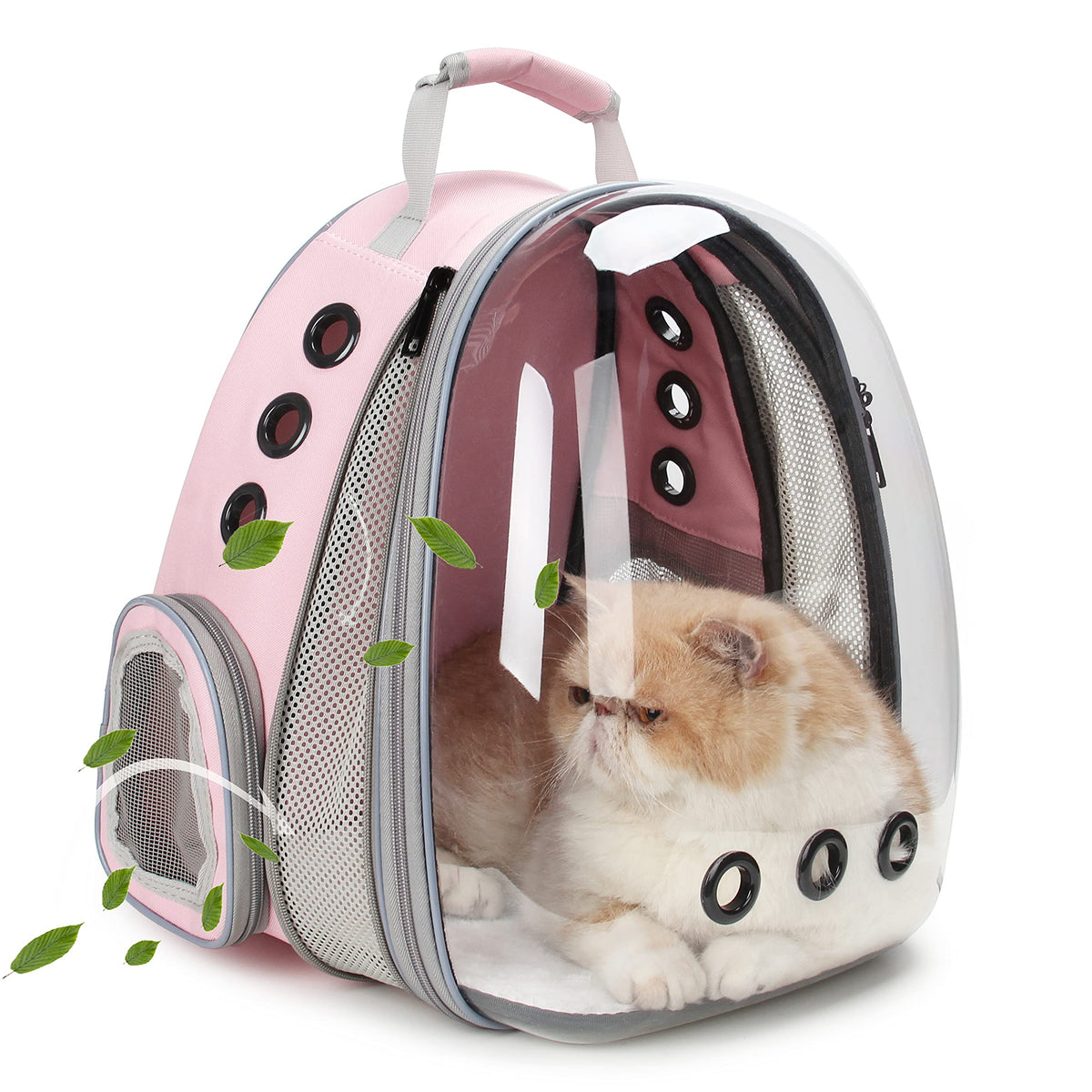 Expandable Cat Backpack with Mini Fan Q1649