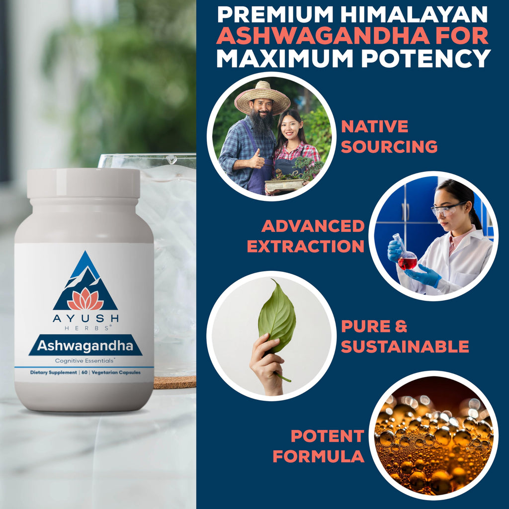 Ashwagandha Capsules 500mg 60 Servings S649
