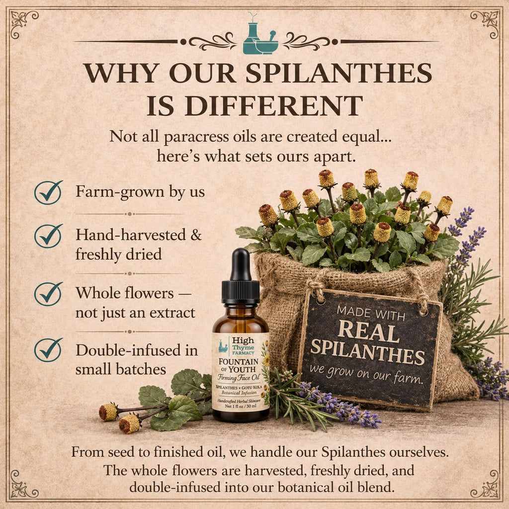 Firming Face Oil with Spilanthes & Gotu Kola, 1 oz W4961