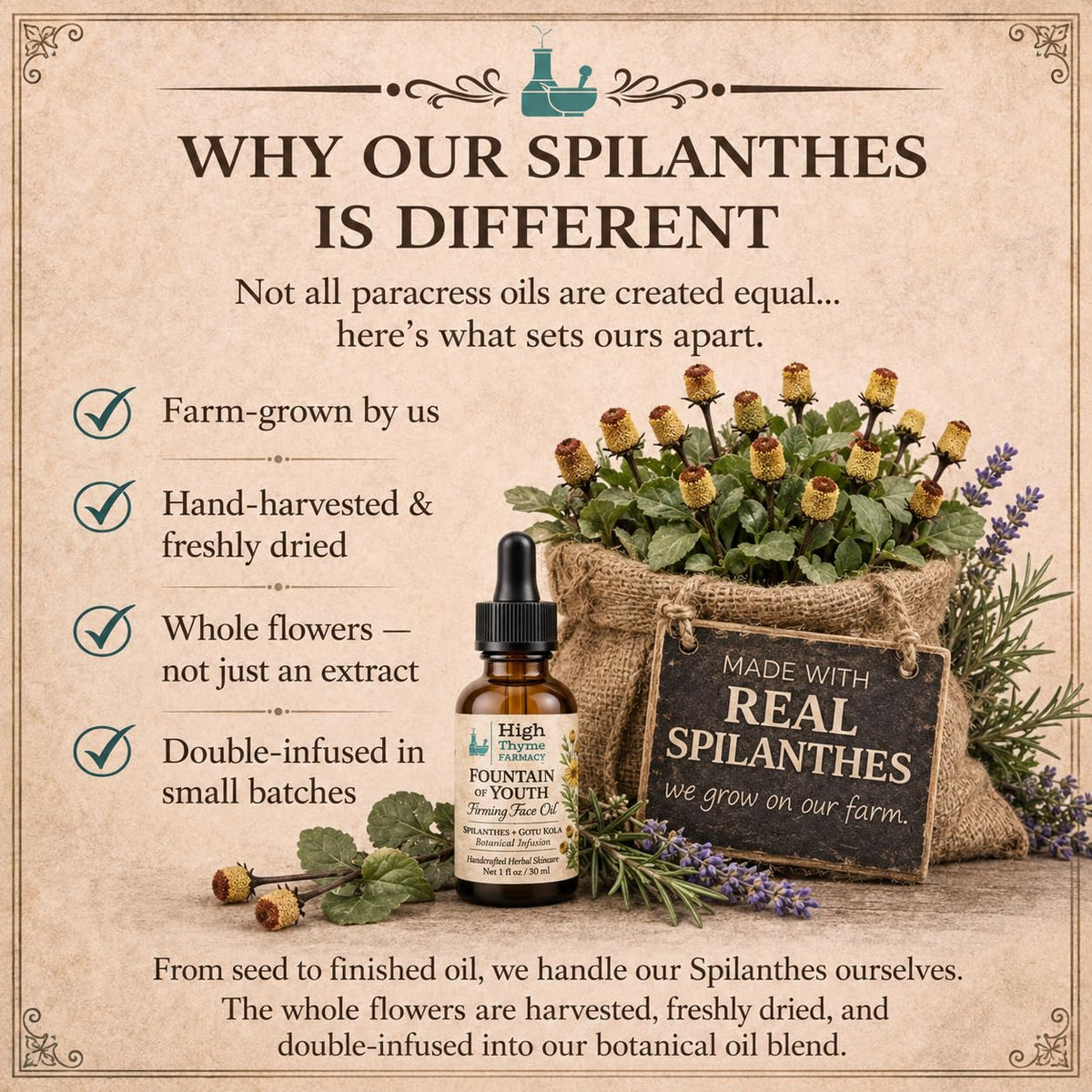 Firming Face Oil with Spilanthes & Gotu Kola, 1 oz W4961