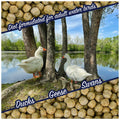 Waterfowl Feed 20 lb Bag Floating Pellets F280054
