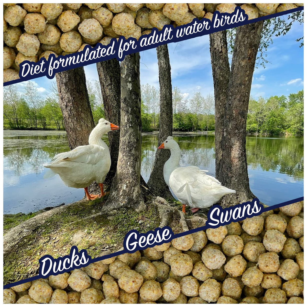 Waterfowl Feed 20 lb Bag Floating Pellets F280054