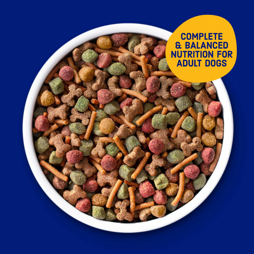 Dry Dog Food 31 Pound Bag H847503