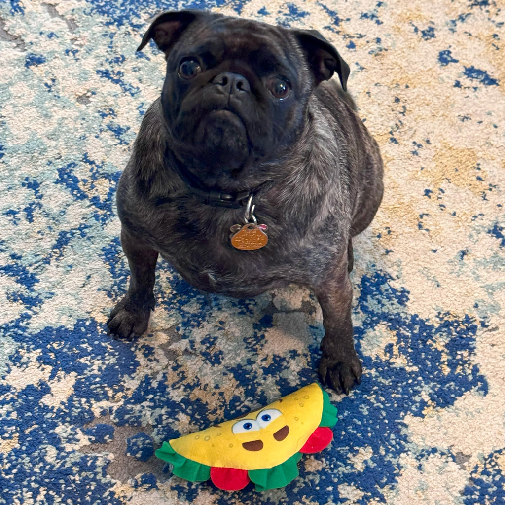 Plush Dog Toy with Squeaker D70954