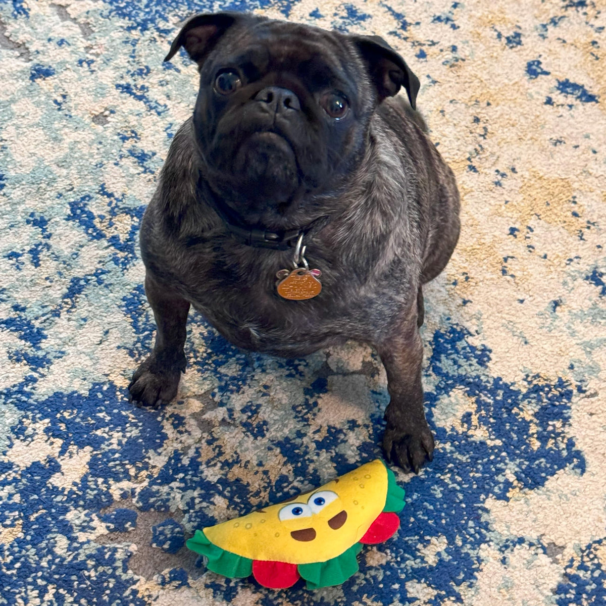 Plush Dog Toy with Squeaker D70954